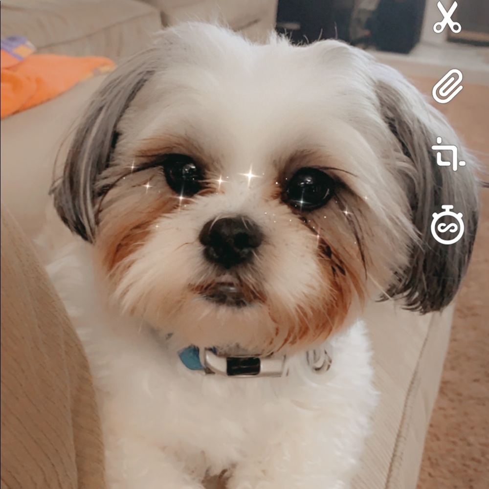 Meet your Posher, Kennedy